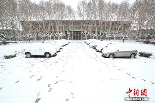 西安爆料大雪视频最新,街头巷尾银装素裹,最新实况视频曝光!”