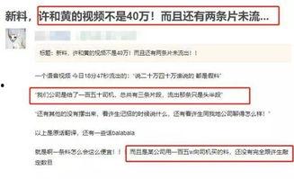 港圈最新爆料视频,明星幕后故事大曝光!