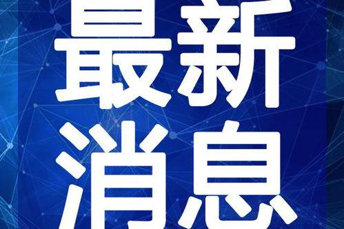 金诚茶庄爆料视频最新版,揭秘茶叶市场惊人内幕!